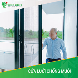 cua-luoi-chong-muoi-gia-re cua luoi chong muoi gia re